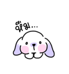 Rabbit ChaCha（個別スタンプ：7）