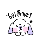 Rabbit ChaCha（個別スタンプ：10）
