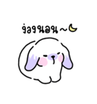 Rabbit ChaCha（個別スタンプ：15）