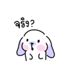 Rabbit ChaCha（個別スタンプ：17）