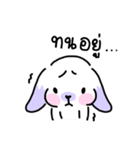 Rabbit ChaCha（個別スタンプ：23）