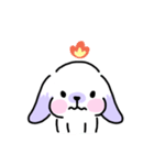 Rabbit ChaCha（個別スタンプ：24）