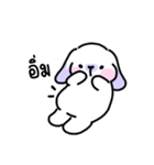 Rabbit ChaCha（個別スタンプ：30）