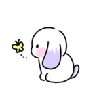 Rabbit ChaCha（個別スタンプ：31）