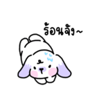 Rabbit ChaCha（個別スタンプ：34）
