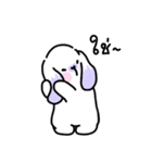 Rabbit ChaCha（個別スタンプ：35）