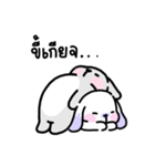 Rabbit ChaCha（個別スタンプ：36）