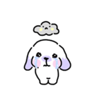 Rabbit ChaCha（個別スタンプ：37）