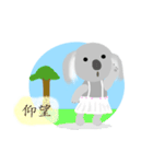 Flying Koala（個別スタンプ：11）
