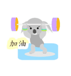 Flying Koala（個別スタンプ：12）