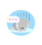 Flying Koala（個別スタンプ：17）