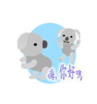Flying Koala（個別スタンプ：21）