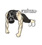 Fitness Man Ver.TH（個別スタンプ：4）