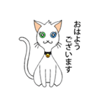 Wayo - 白い目の猫（個別スタンプ：2）