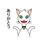 Wayo - 白い目の猫（個別スタンプ：10）