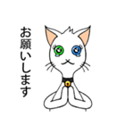 Wayo - 白い目の猫（個別スタンプ：15）