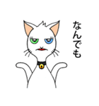 Wayo - 白い目の猫（個別スタンプ：16）