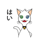 Wayo - 白い目の猫（個別スタンプ：17）