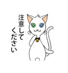 Wayo - 白い目の猫（個別スタンプ：27）