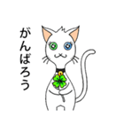 Wayo - 白い目の猫（個別スタンプ：29）