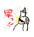 カピトーーク（個別スタンプ：24）