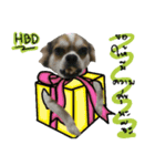 Toto v.2（個別スタンプ：3）