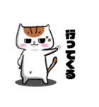 安定のブサイク猫 【ノーマル】（個別スタンプ：5）
