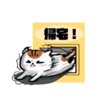 安定のブサイク猫 【ノーマル】（個別スタンプ：7）