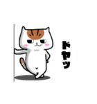 安定のブサイク猫 【ノーマル】（個別スタンプ：11）