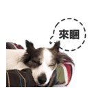 ickus（個別スタンプ：1）