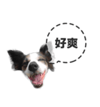 ickus（個別スタンプ：3）