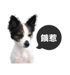 ickus（個別スタンプ：4）