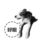 ickus（個別スタンプ：5）