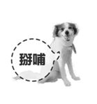 ickus（個別スタンプ：8）
