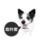 ickus（個別スタンプ：10）