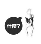 ickus（個別スタンプ：12）