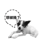 ickus（個別スタンプ：13）
