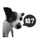 ickus（個別スタンプ：16）