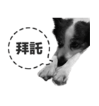 ickus（個別スタンプ：17）