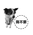 ickus（個別スタンプ：23）