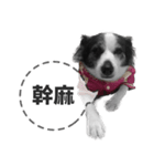 ickus（個別スタンプ：24）