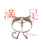 ネコと漢字二字（個別スタンプ：3）