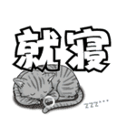 ネコと漢字二字（個別スタンプ：6）