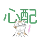 ネコと漢字二字（個別スタンプ：24）