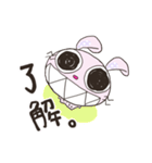 ぎざうさ（個別スタンプ：5）