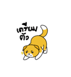 Meow Fold（個別スタンプ：3）