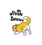 Meow Fold（個別スタンプ：4）
