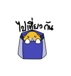 Meow Fold（個別スタンプ：37）