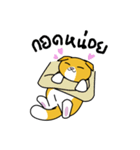 Meow Fold（個別スタンプ：38）