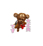 トイプードル ティル 写真ver.6（個別スタンプ：15）